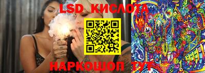 spice Ставрополь