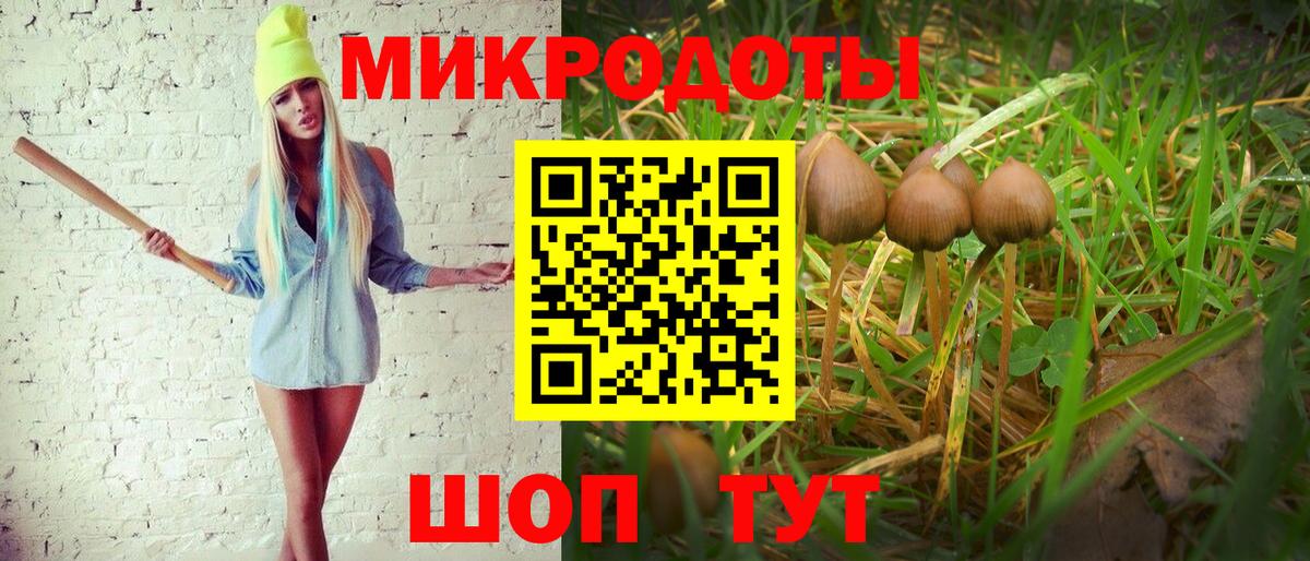 Псилоцибиновые грибы ЛСД Уссурийск
