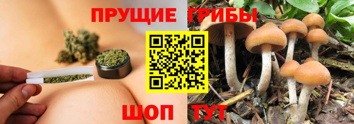 Уссурийск  Псилоцибиновые грибы ЛСД  Вход с VPN 